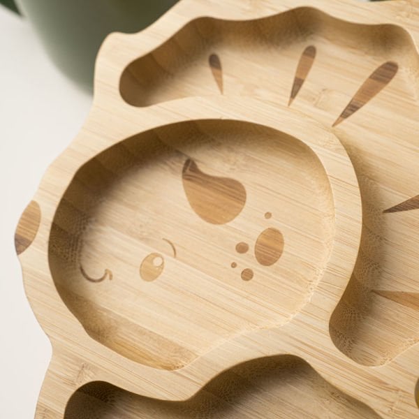 Dinosaur Bamboo Divided Plate