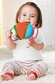 SKİP HOP Explore & More Kirpi Akordion