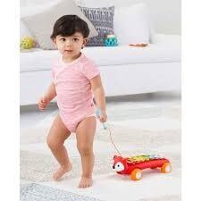 SKIP HOP Explore & More Ksilafon Tilki